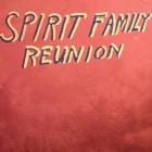Hands Together  di Spirit Family Reunion - CD