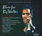 Blues_For_Big_Walter_-Blues_For_Big_Walter_