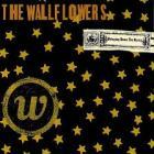 Bringing_Down_The_Horse_-Wallflowers