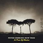 In Praise Of Shadows  di Peter Erskine - CD