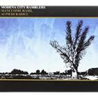 Mani Come Rami Ai Piedi Radici   di Modena City Ramblers - CD