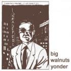Big Walnuts Yonder  di Big Walnuts Yonder - CD Big Walnuts Yonder  di Big Walnuts Yonder - CD