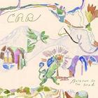 Barefoot In The Head di Chris Robinson - CD