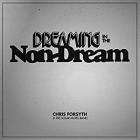 Dreaming_In_The_Non-Dream_-Chris_Forsyth_&_The_Solar_Motel_Band