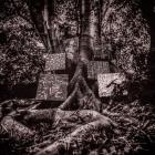 Harmony Of Difference  di Kamasi Washington - CD