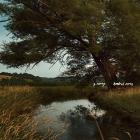 Hundred Acres di S. Carey - CD Hundred Acres di S. Carey - CD