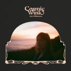 Cosmic_Wink-Chris_Williamson
