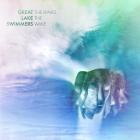 Waves_The_Wake-Great_Lake_Swimmers