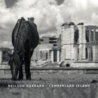 Cumberland Island  di Neilson Hubbard - CD