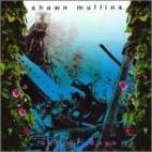 Better Days  di Shawn Mullins - CD