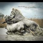 Love & Revelation di Over The Rhine - CD