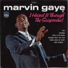_I_Heard_It_Through_The_Grapevine!_-Marvin_Gaye
