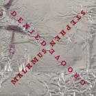 Groove_Denied_-Stephen_Malkmus