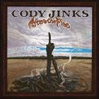 After_The_Fire_-Cody_Jinks