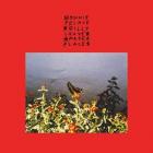I Made A Place di Bonnie "prince" Billy - CD