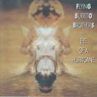 Eye Of A Hurricane  di Flying Burrito Brothers - CD