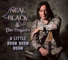 A Little Boom Boom Boom  di Neal Black  &amp; The Healers - CD