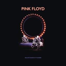 Delicate Sound Of Thunder   di Pink Floyd