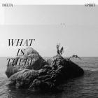 What Is There di Delta Spirit - CD What Is There di Delta Spirit - CD