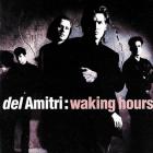 Waking Hours  di Del Amitri - CD