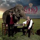 Ritorno Al Fuoco  di Gang - LP