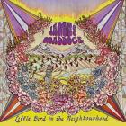 Little Bird In The Neighborhood di James Maddock - CD Little Bird In The Neighborhood di James Maddock - CD