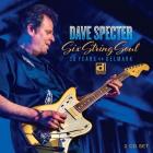 Six_String_Soul%3A_30_Years_On_Delmark-Dave_Specter