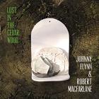 Lost In The Cedar Wood  di Johnny Flynn - CD