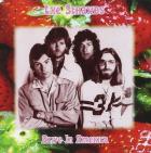 Alive In America  di Strawbs - CD