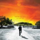 Beautiful Time di Willie Nelson - LP