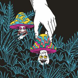 In And Out Of The Garden di Grateful Dead - CD In And Out Of The Garden di Grateful Dead - CD