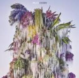 Cousin di Wilco - LP