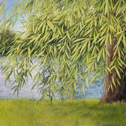 Nothing But Green Willow  di Martin Simpson & Thomm Jutz - CD