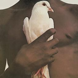 Greatest Hits  di Santana