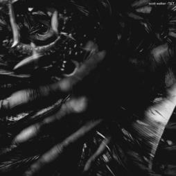 Tilt di Scott Walker - LP