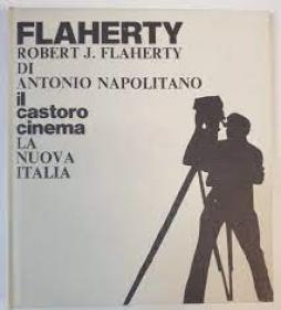 Flaherty  di Napolitano Antonio - libri