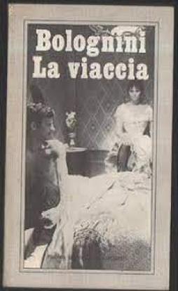Viaccia  di Bolognini Mauro - libri