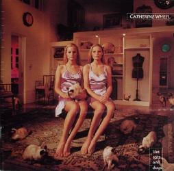 Like Cats And Dogs di Catherine Wheel - cd