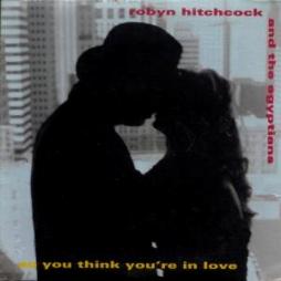 So You Think You're In Love di Robyn Hitchcock - EP