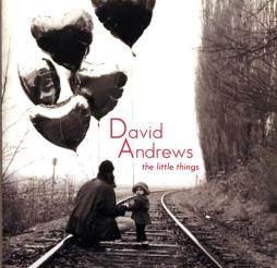The Little Things di David Andrews - CD The Little Things di David Andrews - CD