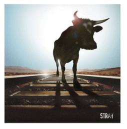 Stray di American Ambulance - CD