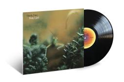 Katy Lied di Steely Dan - CD