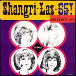 65! di Shangri- Las - LP