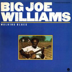 Walking_Blues-Big_Joe_Williams