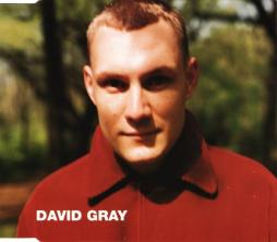 Wisdom di David Gray - CD