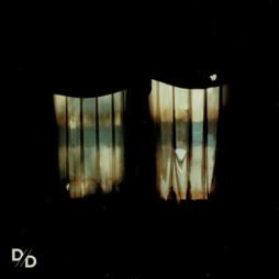 Insatiable-Divide_And_Dissolve Insatiable-Divide_And_Dissolve