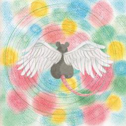 Animaru di Mei Semones - CD