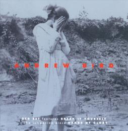 Break It Yourself / Hands Of Glory di Andrew Bird - CD