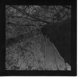 Grow di Born Naked - CD