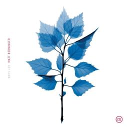 Get_Sunk-Matt_Berninger